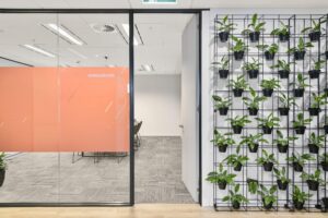 Concept commercial interiors Office Fitouts plant pots