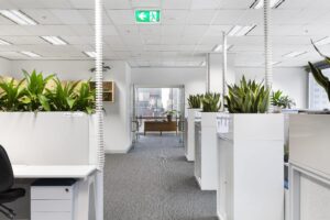 Concept commercial interiors Office Fitouts plants in workplace
