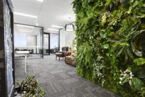 Concept commercial interiors Office Fitout plant wall